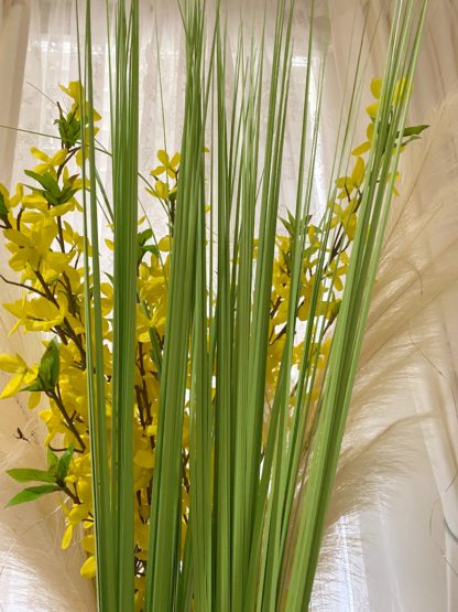 MULUYA GRASS /For Coffee  CEREMONY - Image 2